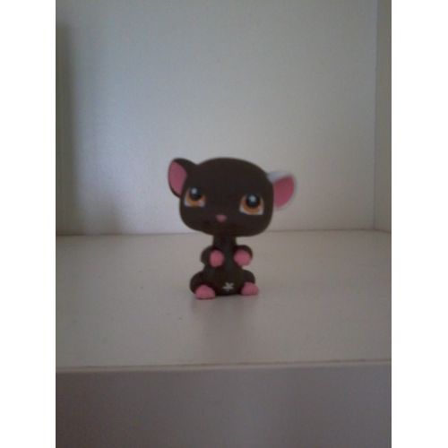 Petshop Souris N° 538