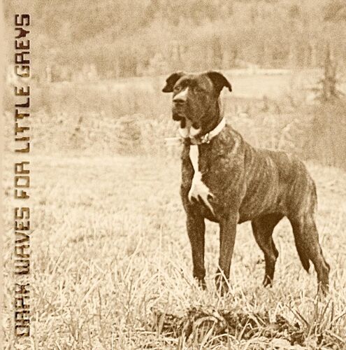 Dark Waves For Little Greys