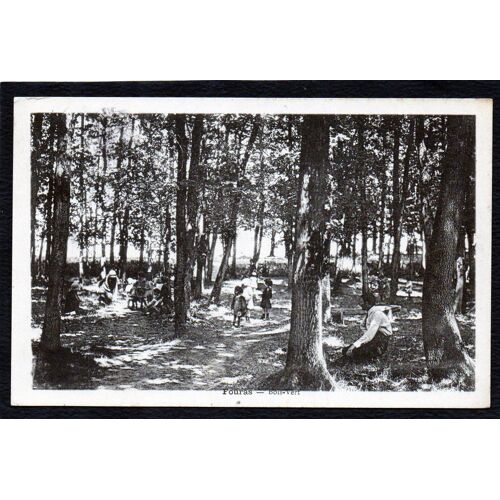 Carte Postale Ancienne, France, Charente Maritime ( 17 ), Fouras, Enfants Dans Bois-Vert