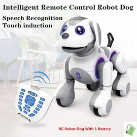 Chien RC avec 1 batterie - Robot intelligent à induction tactile pour enfants, chien, voix interactive, RC, apprentissage des mathématiques en anglais, connaissance scientifique, jouet éducatif