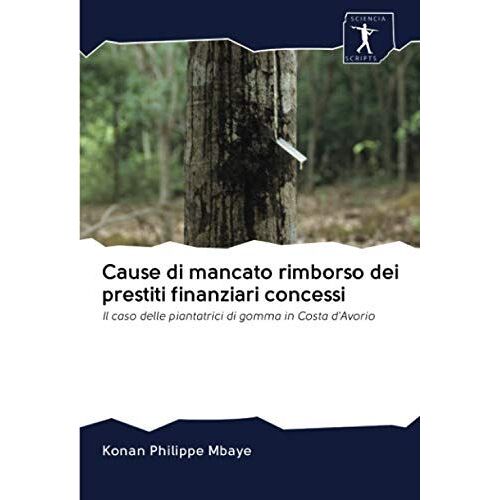 Cause Di Mancato Rimborso Dei Prestiti Finanziari Concessi