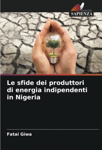Le Sfide Dei Produttori Di Energia Indipendenti In Nigeria