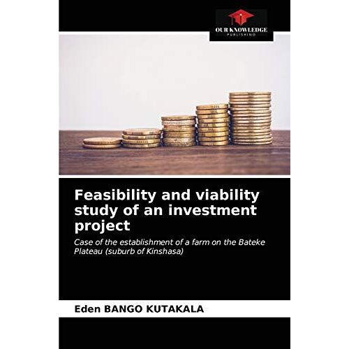Feasibility And Viability Study Of An Investment Project