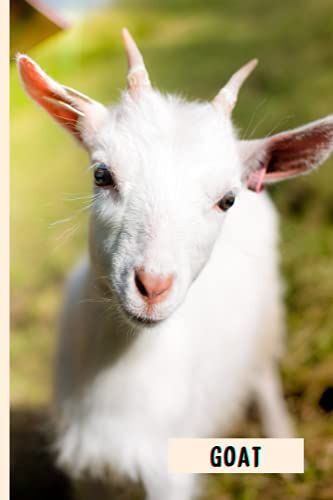 Goat: Composition Notebook For Goat Dogs Lovers , Goat Lined Journal ,6x9 Inches , 110 Pages ,Goat Diary