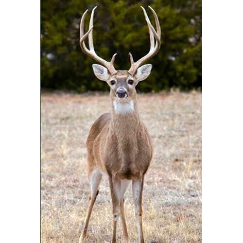 Hunting Notebook