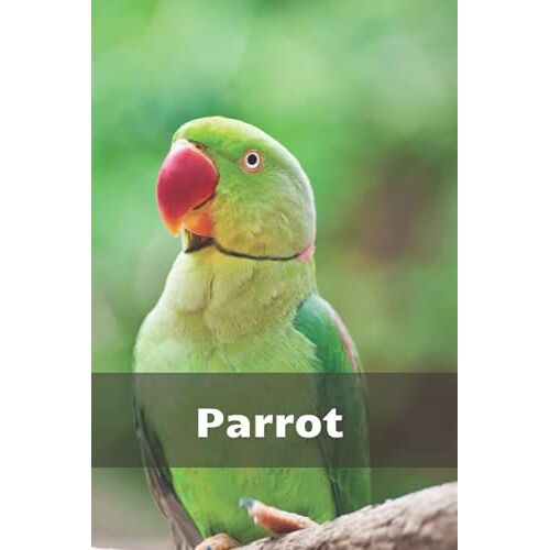 Notebook With Parrot: Beautiful Animal Notebook For Children And Everyone! (Animals Notebooks)