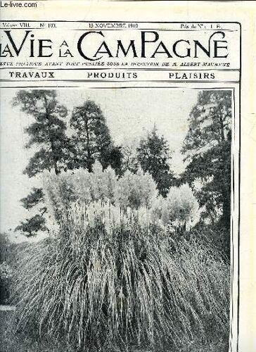 Vie A La Campagne N° 100  Mieux Conduire L'élevage De La Race De Salers - Les Broderies En Buis - Exemple De Reboisement Des Terrains En Pente - Plantez Des Ognons A Fleurs Dans Vos ...