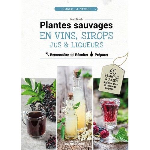 Plantes Sauvages En Vins, Sirops, Jus & Liqueurs - Reconnaître, Récolter, Préparer