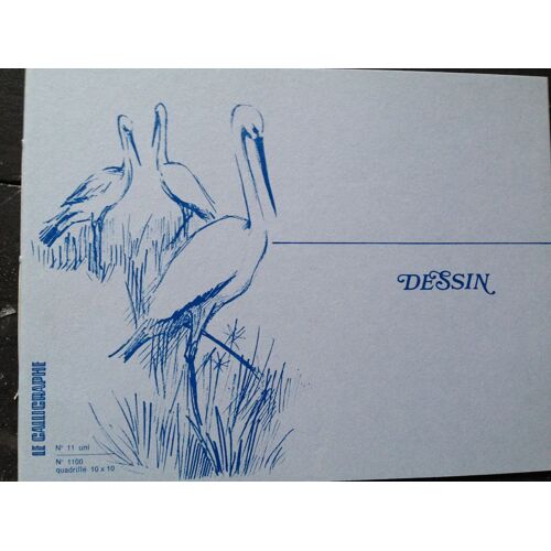 Lot De 10 Cahiers À Dessin Quadrillés Calligraphe