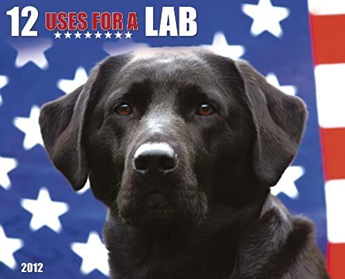 12 Uses For A Lab 2012 Calendar
