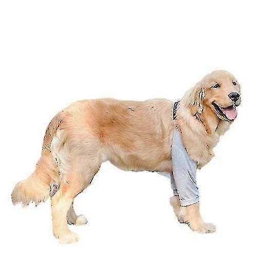 Protecteur De Coude De Chien Pour Chiens De Taille Moyenne Genouillères Pour Animaux De Compagnie Vêtements De Protection Des Articulations Couverture Anti-Abrasion Articles Pour Animaux De Compagnie