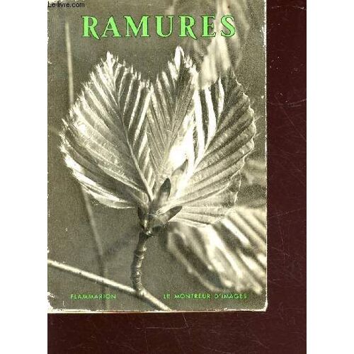 L Atelier Du Père Castor Présente : Ramures - Collection Le Montreur D Images