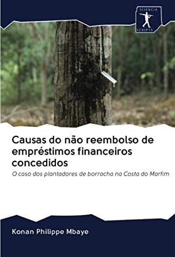 Causas Do Não Reembolso De Empréstimos Financeiros Concedidos