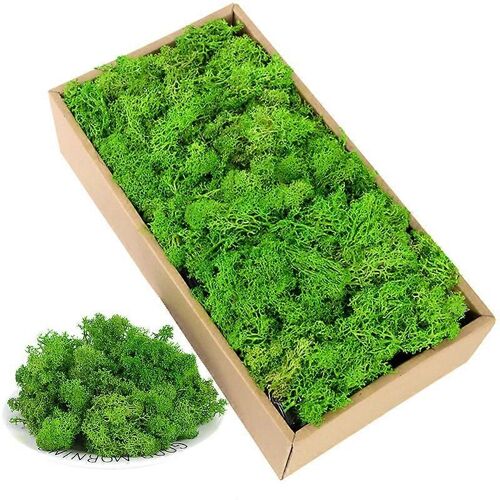 40g Simulation Mousse Artificielle Vert Vie Éternelle Herbe de Mousse Fausse Plante Pour Maison Mur Décor Jardin Micro Paysage Matériel Cadeau