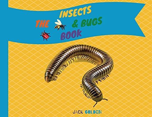 The Insects And Bugs Book: Explain Insect Behaviors To Children In A Simple And Fun Way