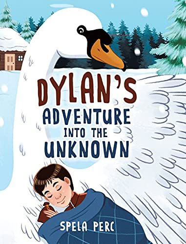 Dylan's Adventure Into The Unknown