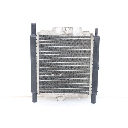 Radiateur Peugeot Satelis 125 2006 - 2009 / 202914