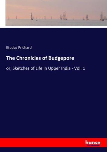 The Chronicles Of Budgepore