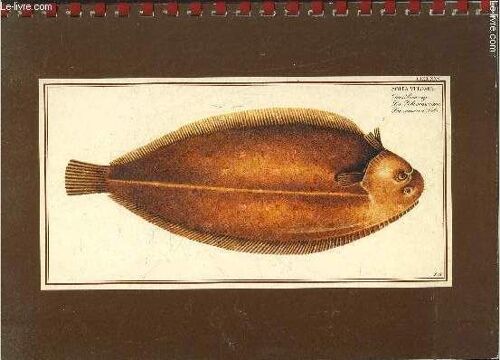 La Sole- Presentation, Production, Consommation, Recettes