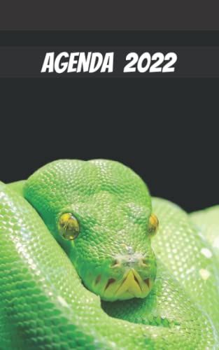 Agenda 2022 - Python - / 320 Pages / 1 Page Par Jour Et Week-End Sur 1 Page / Journalier Usage Personnel, Professionnel Et Etudiant: Couverture : Photo De Serpent Reptile De Type Python Vert