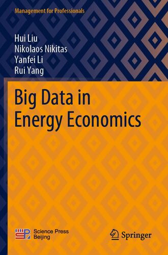 Big Data In Energy Economics
