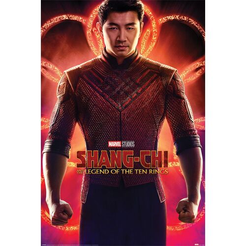 Shang-Chi And The Legend Of The Ten Rings - Flex - 61x91,5cm - Affiche/ Poster Envoi En Tube