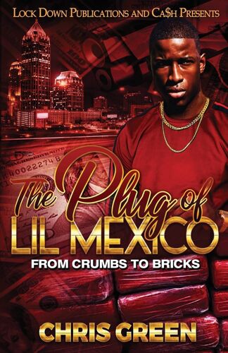 The Plug Of Lil Mexico