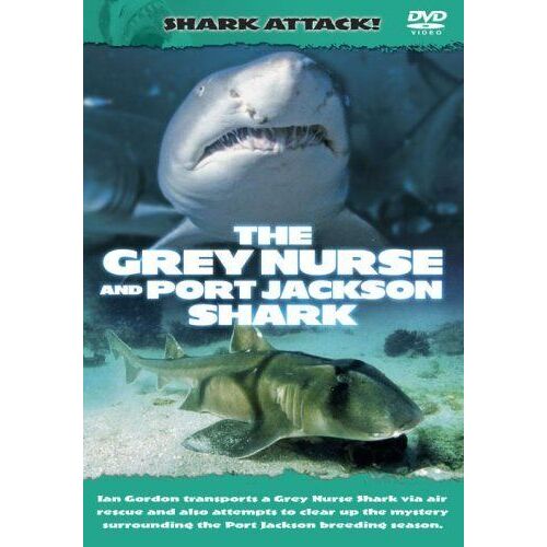 Shark Attack - The Grey Nurse And Port Jackson Shark