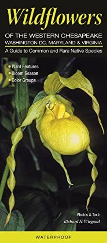 Wildflowers Of The Western Chesapeake: Washington Dc, Maryland & Virginia: A Guide To Common & Rare Native Species (Quick Reference Guides)
