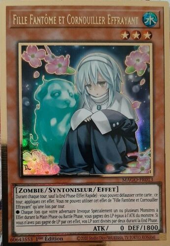 Fille Fantôme Et Cornouiller Effrayant Mago-Fr013