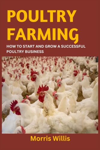 Poultry Farming: How To Start And Grow A Successful Poultry Business
