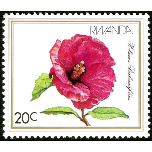Timbre Rwanda, Hibiscus Berberidifolius, 20 C