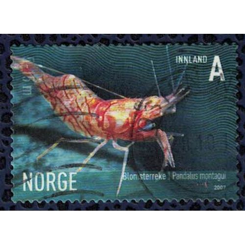 Norvège 2007 Oblitération Ronde Used Stamp Crevette Ésope Pandalus Montagui Su