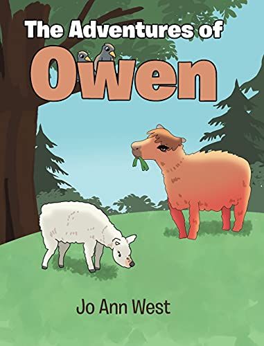 The Adventures Of Owen