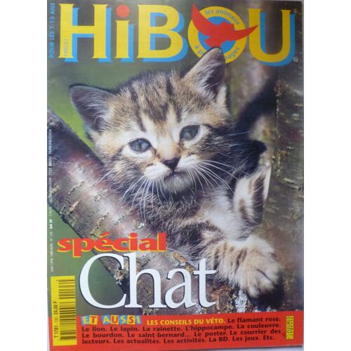 Hibou  N° 133 : Chats