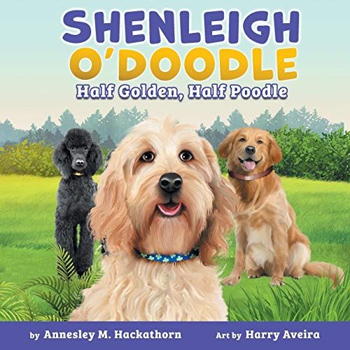 Shenleigh O'doodle, Half Golden, Half Poodle