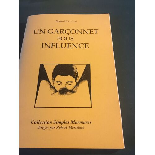 Un Garconnet Sous Influence Bruno H Loison Merodac