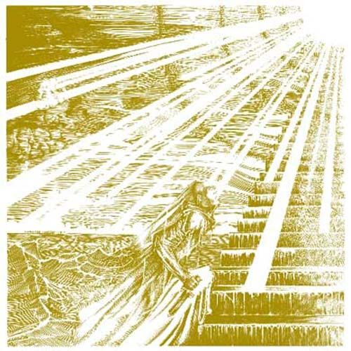 Into The Lair Of The..