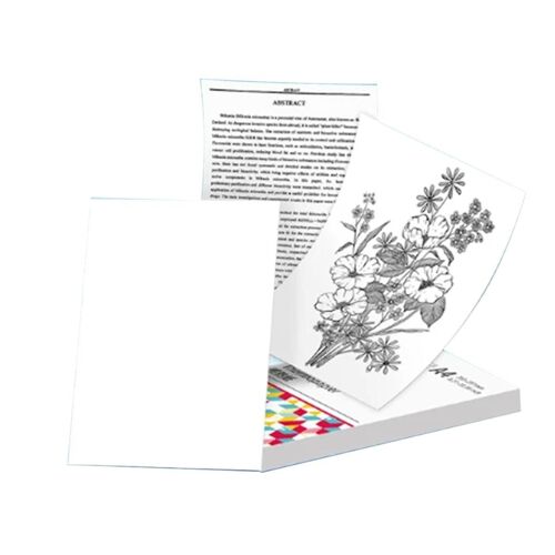 100 feuilles pour papier thermique A4 M08F Imprimante Papier thermique continu à séchage rapide Documents Notes d¿étude