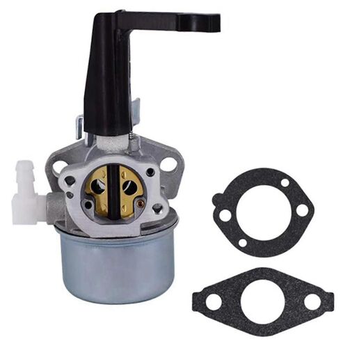 696065 697422 110402 110412 215369 De Carburateur Briggs & Stratton - Zhenv