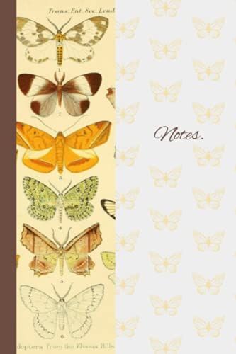 Butterflies And Vintage Illustration.