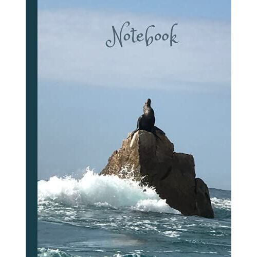 Notebook: (Journal, Notebook, Diary)