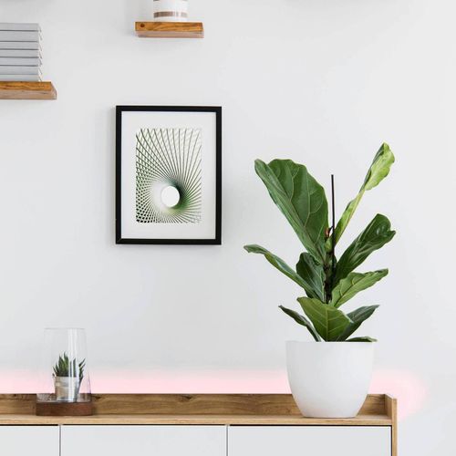 Eglo Connect Stripe-C Ruban Led Rvbw 300 Cm