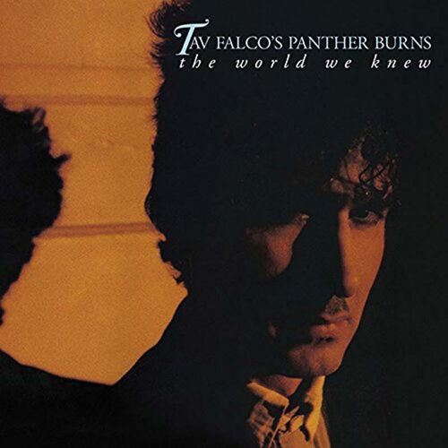 The World We Knew And Shake Rag