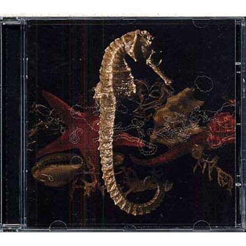 Retour Dans Nos Criques (2eme Album)