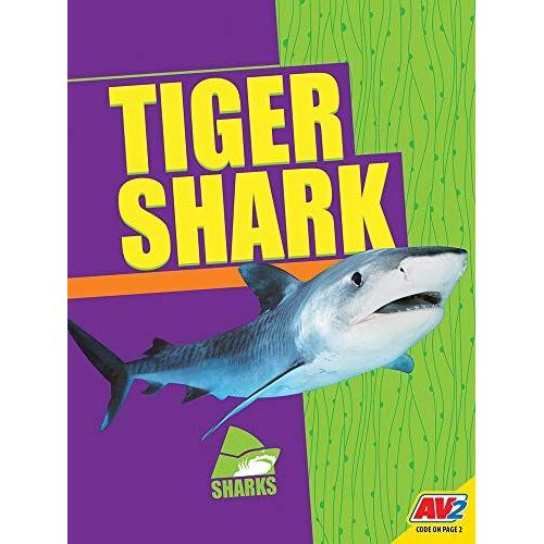 Tiger Shark