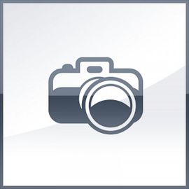 Apple AirPods Max Casque Sans fil Arceau Appels/Musique Bluetooth Bleu