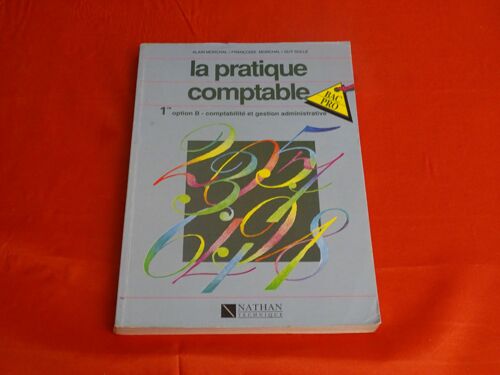 La Pratique Comptable - - - Première Option B - Comptabilité Et Gestion Administrative - Bac Pro