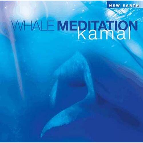 Whale Meditation