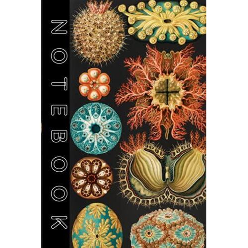Notebook: Illustration Showing A Variety Of Sea Squirts, Lined Notebook Journal With Premium Paper, 6" X 9", 120 Pages, Wide Ruled